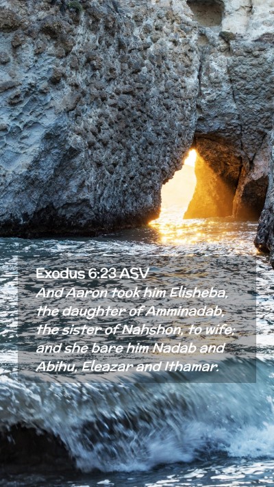 Picture 02 - Exodus 6:23 ASV Mobile Phone Wallpaper - And Aaron took him Elisheba, the daughter of - Mobile Bible Verse Wallpaper