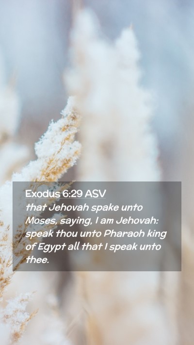 Picture 02 - Exodus 6:29 ASV Mobile Phone Wallpaper - that Jehovah spake unto Moses, saying, I am - Mobile Bible Verse Wallpaper