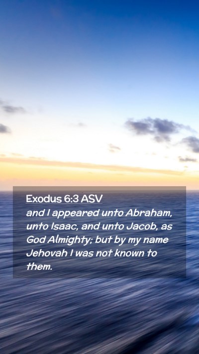 Picture 02 - Exodus 6:3 ASV Mobile Phone Wallpaper - and I appeared unto Abraham, unto Isaac, and unto - Mobile Bible Verse Wallpaper