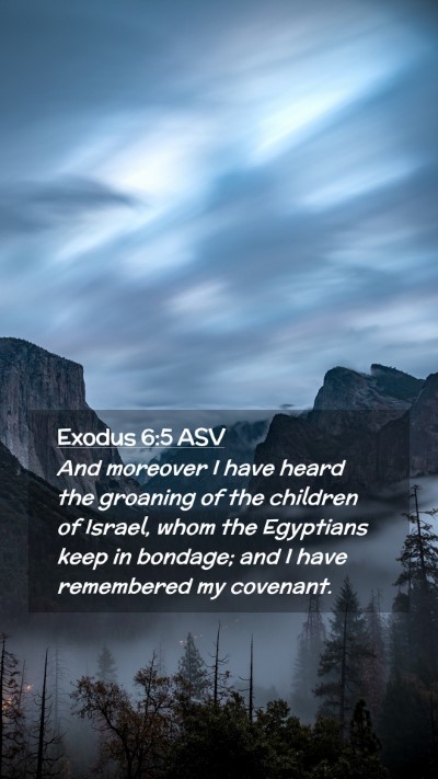 Picture 02 - Exodus 6:5 ASV Mobile Phone Wallpaper - And moreover I have heard the groaning of the - Mobile Bible Verse Wallpaper
