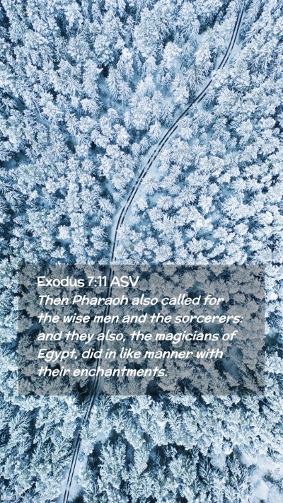 Picture 02 - Exodus 7:11 ASV Mobile Phone Wallpaper - Then Pharaoh also called for the wise men and the - Mobile Bible Verse Wallpaper
