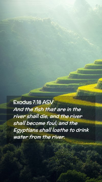 Picture 02 - Exodus 7:18 ASV Mobile Phone Wallpaper - And the fish that are in the river shall die, and - Mobile Bible Verse Wallpaper