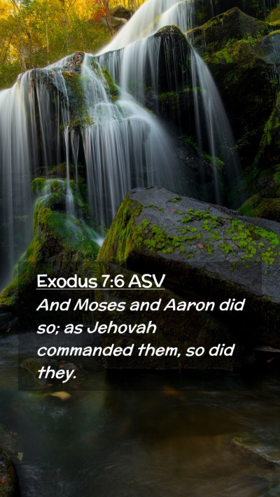 Picture 02 - Exodus 7:6 ASV Mobile Phone Wallpaper - And Moses and Aaron did so; as Jehovah commanded - Mobile Bible Verse Wallpaper