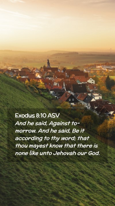 Picture 02 - Exodus 8:10 ASV Mobile Phone Wallpaper - And he said, Against to-morrow. And he said, Be - Mobile Bible Verse Wallpaper