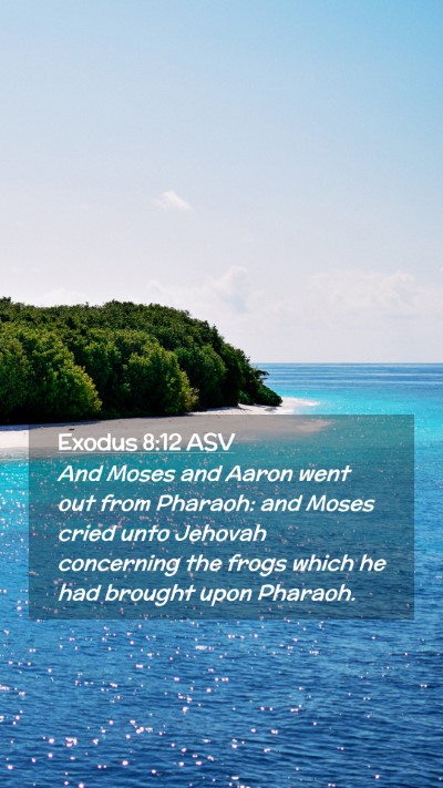 Picture 02 - Exodus 8:12 ASV Mobile Phone Wallpaper - And Moses and Aaron went out from Pharaoh: and - Mobile Bible Verse Wallpaper