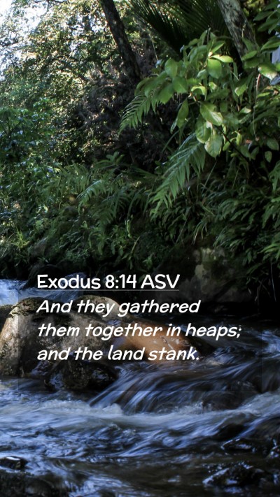 Picture 02 - Exodus 8:14 ASV Mobile Phone Wallpaper - And they gathered them together in heaps; and the - Mobile Bible Verse Wallpaper
