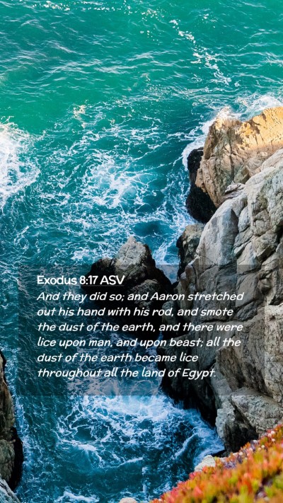 Picture 02 - Exodus 8:17 ASV Mobile Phone Wallpaper - And they did so; and Aaron stretched out his hand - Mobile Bible Verse Wallpaper