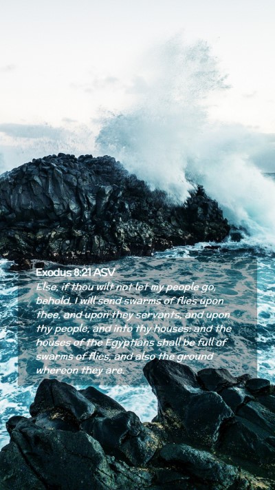 Picture 02 - Exodus 8:21 ASV Mobile Phone Wallpaper - Else, if thou wilt not let my people go, behold, - Mobile Bible Verse Wallpaper