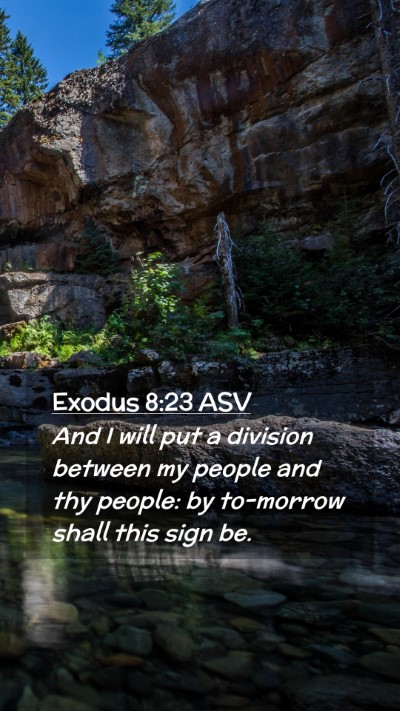 Picture 02 - Exodus 8:23 ASV Mobile Phone Wallpaper - And I will put a division between my people and - Mobile Bible Verse Wallpaper
