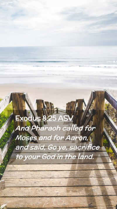 Picture 02 - Exodus 8:25 ASV Mobile Phone Wallpaper - And Pharaoh called for Moses and for Aaron, and - Mobile Bible Verse Wallpaper