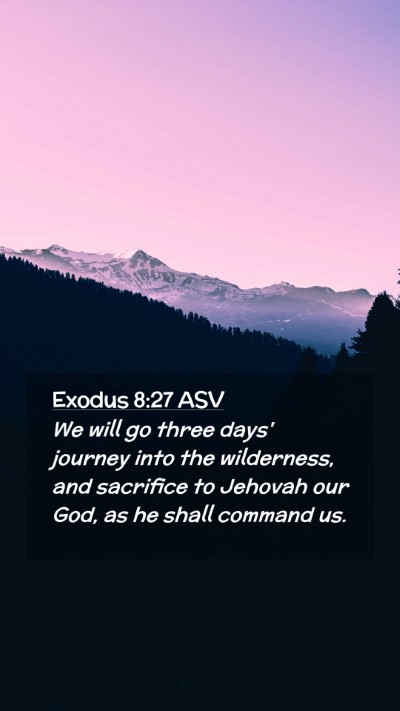 Picture 02 - Exodus 8:27 ASV Mobile Phone Wallpaper - We will go three days' journey into the - Mobile Bible Verse Wallpaper