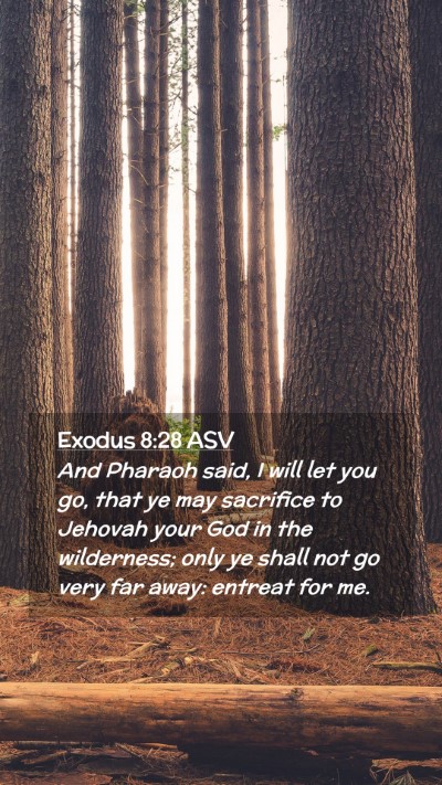 Picture 02 - Exodus 8:28 ASV Mobile Phone Wallpaper - And Pharaoh said, I will let you go, that ye may - Mobile Bible Verse Wallpaper