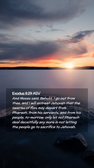 Picture 02 - Exodus 8:29 ASV Mobile Phone Wallpaper - And Moses said, Behold, I go out from thee, and I - Mobile Bible Verse Wallpaper