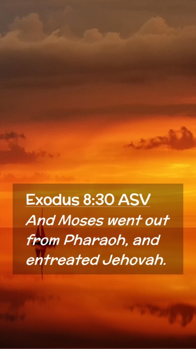 Picture 02 - Exodus 8:30 ASV Mobile Phone Wallpaper - And Moses went out from Pharaoh, and entreated - Mobile Bible Verse Wallpaper