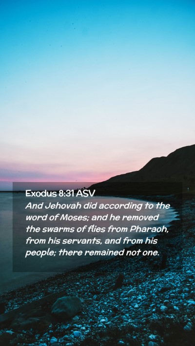 Picture 02 - Exodus 8:31 ASV Mobile Phone Wallpaper - And Jehovah did according to the word of Moses; - Mobile Bible Verse Wallpaper