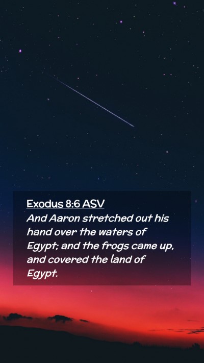 Picture 02 - Exodus 8:6 ASV Mobile Phone Wallpaper - And Aaron stretched out his hand over the waters - Mobile Bible Verse Wallpaper