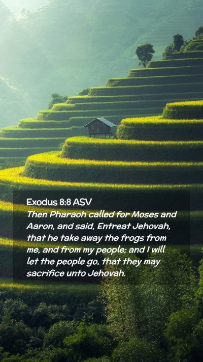 Picture 02 - Exodus 8:8 ASV Mobile Phone Wallpaper - Then Pharaoh called for Moses and Aaron, and - Mobile Bible Verse Wallpaper