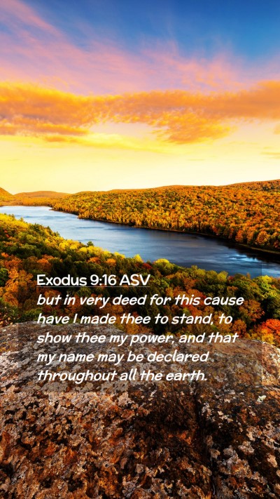 Picture 02 - Exodus 9:16 ASV Mobile Phone Wallpaper - but in very deed for this cause have I made thee - Mobile Bible Verse Wallpaper