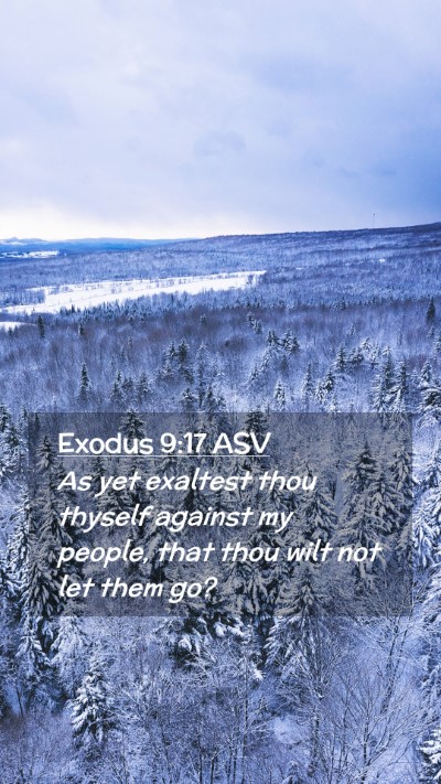 Picture 02 - Exodus 9:17 ASV Mobile Phone Wallpaper - As yet exaltest thou thyself against my people, - Mobile Bible Verse Wallpaper