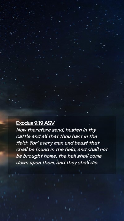 Picture 02 - Exodus 9:19 ASV Mobile Phone Wallpaper - Now therefore send, hasten in thy cattle and all - Mobile Bible Verse Wallpaper