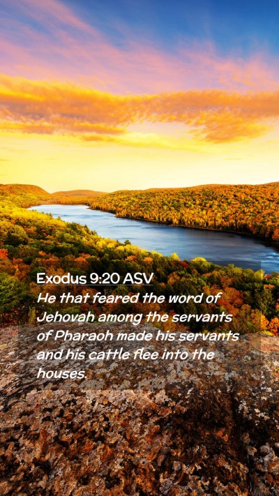Picture 02 - Exodus 9:20 ASV Mobile Phone Wallpaper - He that feared the word of Jehovah among the - Mobile Bible Verse Wallpaper