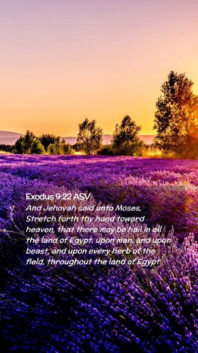 Picture 02 - Exodus 9:22 ASV Mobile Phone Wallpaper - And Jehovah said unto Moses, Stretch forth thy - Mobile Bible Verse Wallpaper
