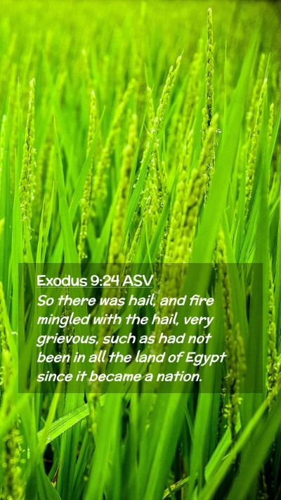 Picture 02 - Exodus 9:24 ASV Mobile Phone Wallpaper - So there was hail, and fire mingled with the - Mobile Bible Verse Wallpaper