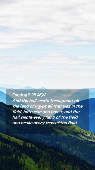 Picture 02 - Exodus 9:25 ASV Mobile Phone Wallpaper - And the hail smote throughout all the land of - Mobile Bible Verse Wallpaper