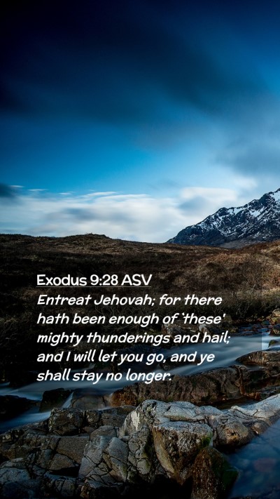 Picture 02 - Exodus 9:28 ASV Mobile Phone Wallpaper - Entreat Jehovah; for there hath been enough of - Mobile Bible Verse Wallpaper