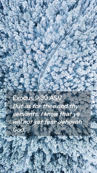 Picture 02 - Exodus 9:30 ASV Mobile Phone Wallpaper - But as for thee and thy servants, I know that ye - Mobile Bible Verse Wallpaper