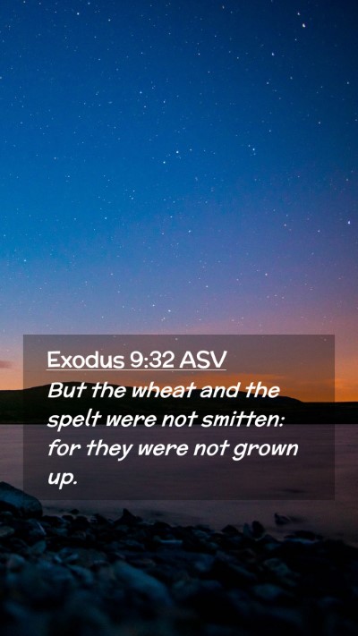 Picture 02 - Exodus 9:32 ASV Mobile Phone Wallpaper - But the wheat and the spelt were not smitten: for - Mobile Bible Verse Wallpaper