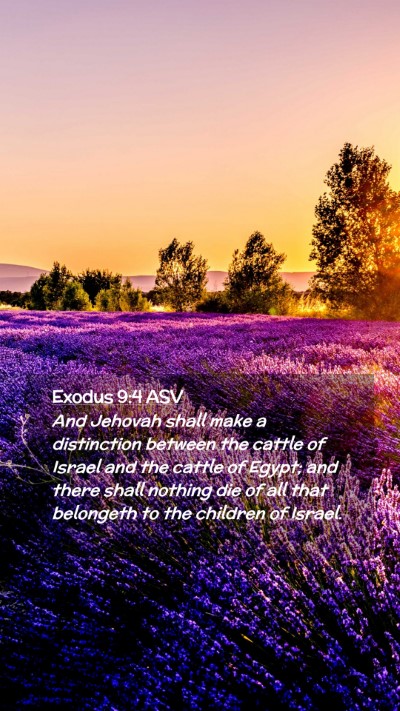 Picture 02 - Exodus 9:4 ASV Mobile Phone Wallpaper - And Jehovah shall make a distinction between the - Mobile Bible Verse Wallpaper