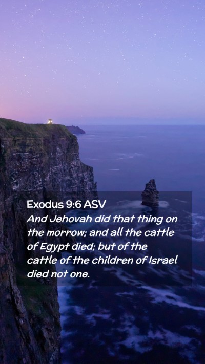 Picture 02 - Exodus 9:6 ASV Mobile Phone Wallpaper - And Jehovah did that thing on the morrow; and all - Mobile Bible Verse Wallpaper