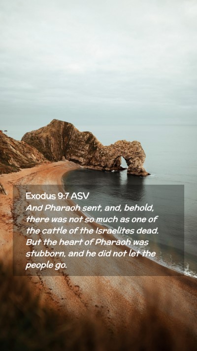 Picture 02 - Exodus 9:7 ASV Mobile Phone Wallpaper - And Pharaoh sent, and, behold, there was not so - Mobile Bible Verse Wallpaper