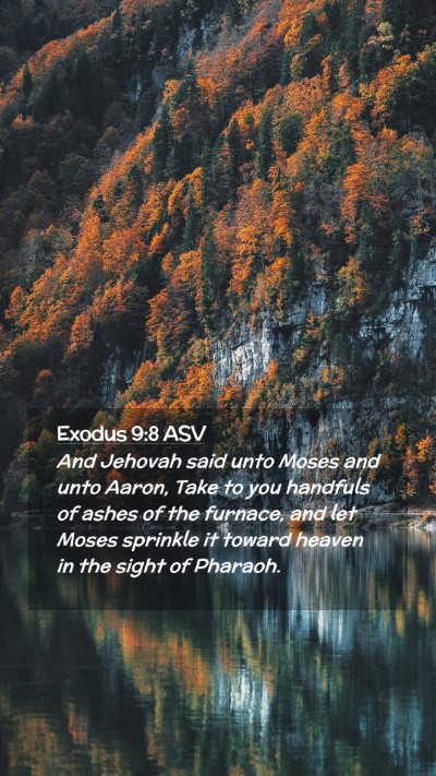 Picture 02 - Exodus 9:8 ASV Mobile Phone Wallpaper - And Jehovah said unto Moses and unto Aaron, Take - Mobile Bible Verse Wallpaper