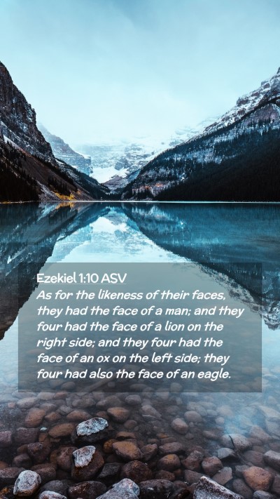 Picture 02 - Ezekiel 1:10 ASV Mobile Phone Wallpaper - As for the likeness of their faces, they had the - Mobile Bible Verse Wallpaper