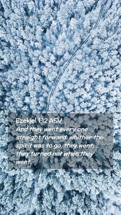 Picture 02 - Ezekiel 1:12 ASV Mobile Phone Wallpaper - And they went every one straight forward: whither - Mobile Bible Verse Wallpaper