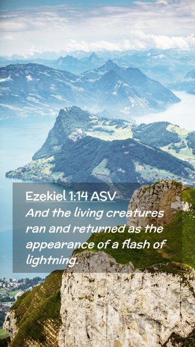 Picture 02 - Ezekiel 1:14 ASV Mobile Phone Wallpaper - And the living creatures ran and returned as the - Mobile Bible Verse Wallpaper