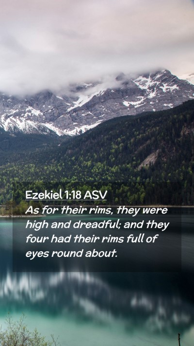 Picture 02 - Ezekiel 1:18 ASV Mobile Phone Wallpaper - As for their rims, they were high and dreadful; - Mobile Bible Verse Wallpaper
