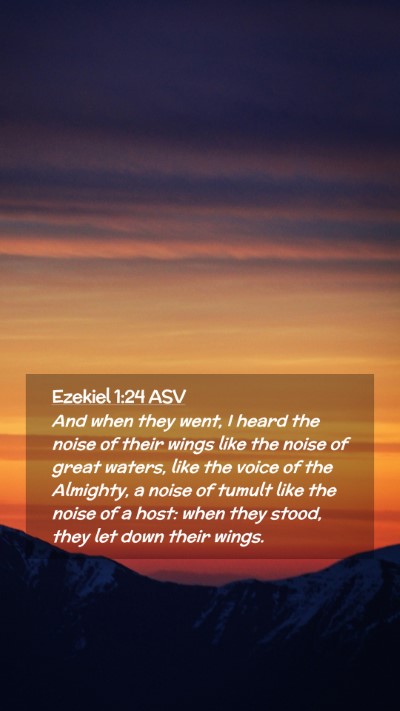 Picture 02 - Ezekiel 1:24 ASV Mobile Phone Wallpaper - And when they went, I heard the noise of their - Mobile Bible Verse Wallpaper