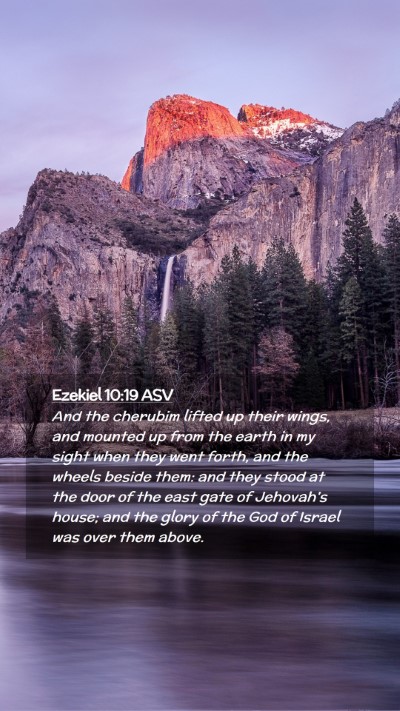 Picture 02 - Ezekiel 10:19 ASV Mobile Phone Wallpaper - And the cherubim lifted up their wings, and - Mobile Bible Verse Wallpaper