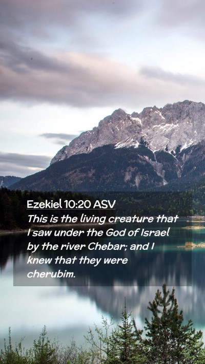 Picture 02 - Ezekiel 10:20 ASV Mobile Phone Wallpaper - This is the living creature that I saw under the - Mobile Bible Verse Wallpaper
