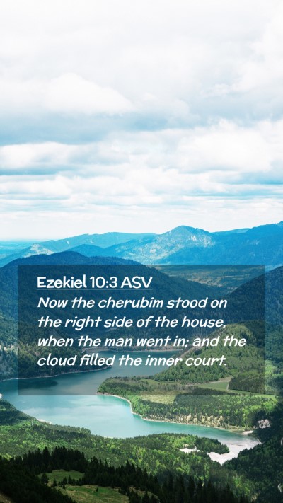 Picture 02 - Ezekiel 10:3 ASV Mobile Phone Wallpaper - Now the cherubim stood on the right side of the - Mobile Bible Verse Wallpaper