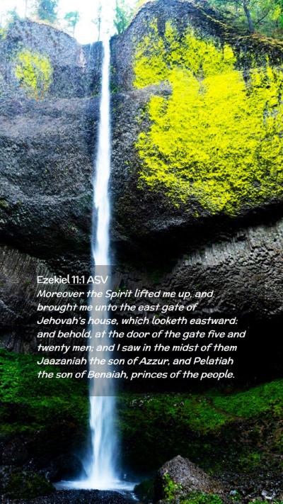Picture 02 - Ezekiel 11:1 ASV Mobile Phone Wallpaper - Moreover the Spirit lifted me up, and brought me - Mobile Bible Verse Wallpaper