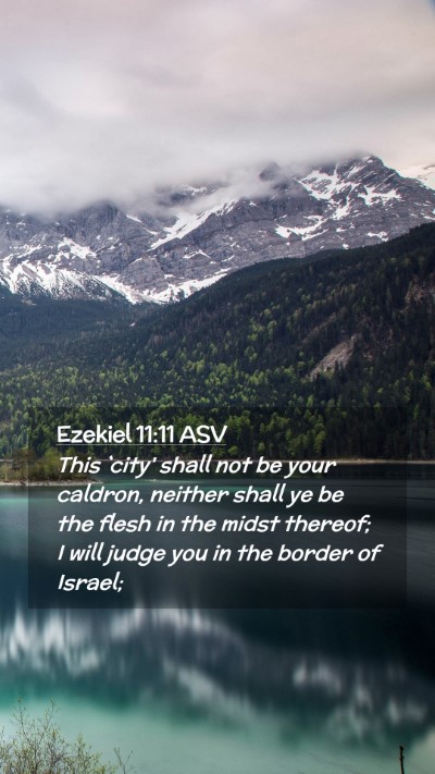 Picture 02 - Ezekiel 11:11 ASV Mobile Phone Wallpaper - This `city' shall not be your caldron, neither - Mobile Bible Verse Wallpaper
