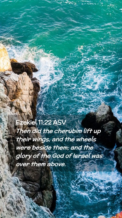 Picture 02 - Ezekiel 11:22 ASV Mobile Phone Wallpaper - Then did the cherubim lift up their wings, and - Mobile Bible Verse Wallpaper