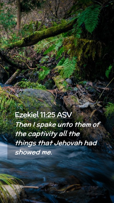 Picture 02 - Ezekiel 11:25 ASV Mobile Phone Wallpaper - Then I spake unto them of the captivity all the - Mobile Bible Verse Wallpaper