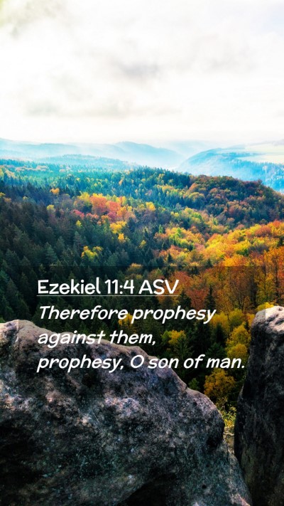 Picture 02 - Ezekiel 11:4 ASV Mobile Phone Wallpaper - Therefore prophesy against them, prophesy, O son - Mobile Bible Verse Wallpaper