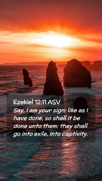 Picture 02 - Ezekiel 12:11 ASV Mobile Phone Wallpaper - Say, I am your sign: like as I have done, so - Mobile Bible Verse Wallpaper