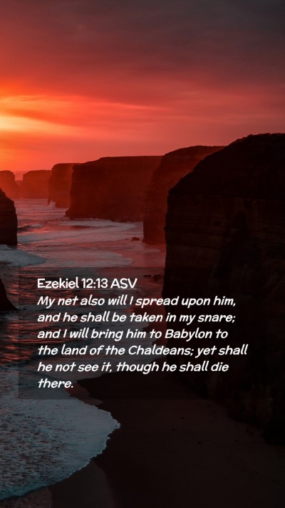 Picture 02 - Ezekiel 12:13 ASV Mobile Phone Wallpaper - My net also will I spread upon him, and he shall - Mobile Bible Verse Wallpaper